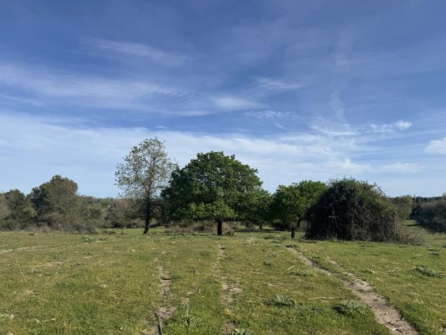 Terrain constructible à 5 min du village