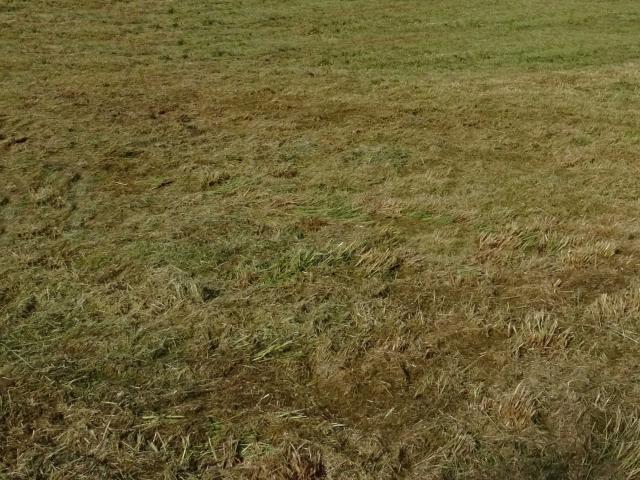 Terrain constructible à 20 mn d' Amiens