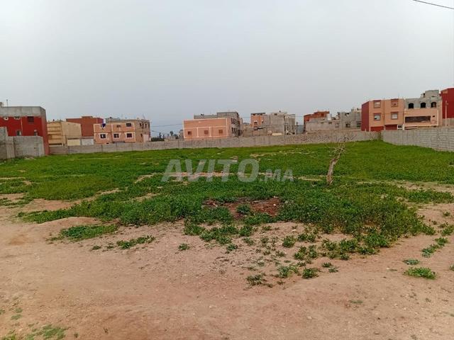 Terrain constructible à Temsia titré lotissement