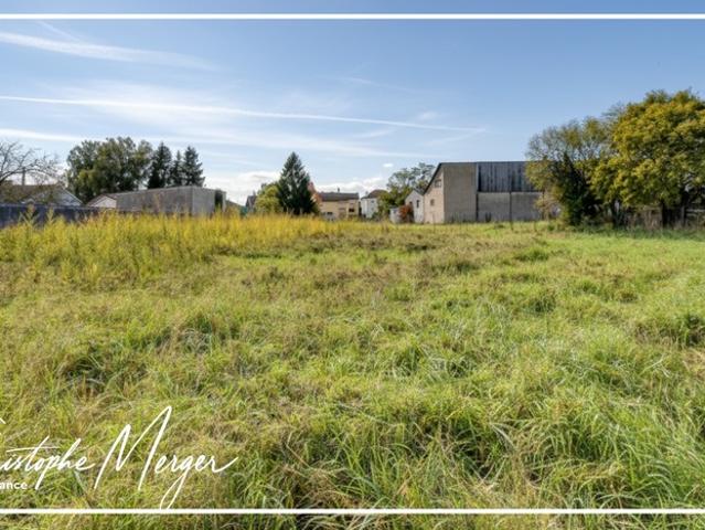 Terrain constructible à vendre 3 031 m² à Dieuze 57, non viabilisé, proche centre ville