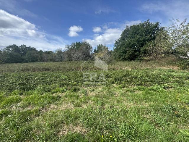 Terrain constructible à vendre à Saint Laurent des Hommes 11631 m2 montpon menesterol 24700 24400