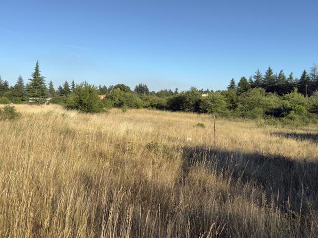 Terrain constructible à vendre SAINT CHRISTOL 84