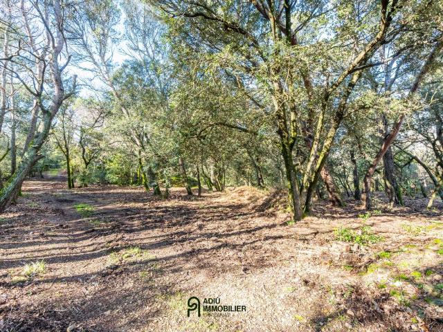 Terrain constructible à vendre secteur résidentiel – 3 367 m² avec fort potentiel