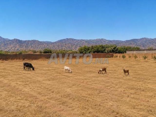 Terrain constructible à Agafay Issen Amskroud