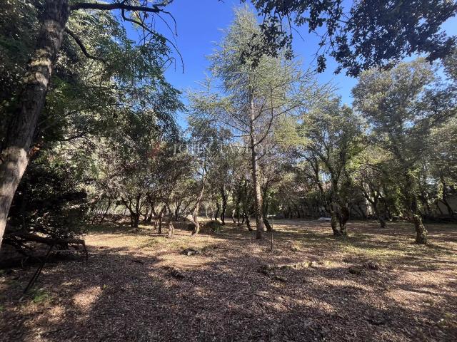 A vendre Terrain Constructible à Cabrières d’Avignon