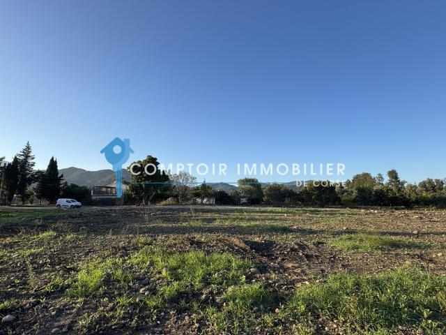 Terrain constructible à Ghisonaccia