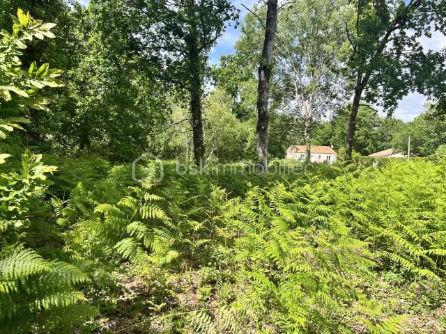 Terrain constructible à Grayan