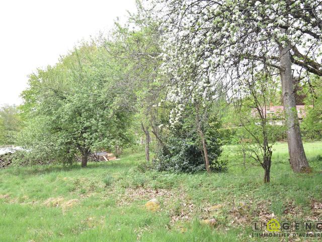 Terrain constructible Anould 1090 m2