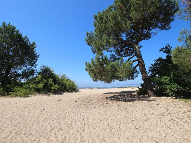 Terrain constructible Arès Proche bassin d'arcachon