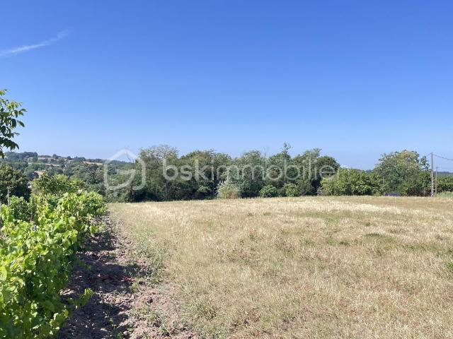 Terrain constructible avec vue panoramique – 3 382 m² – Nailhac 24390