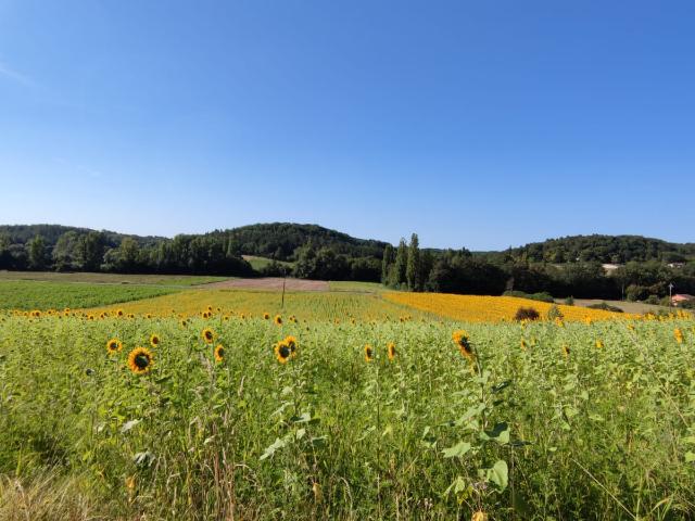 Terrain constructible avec jolie vue