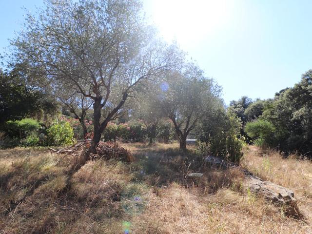 Terrain constructible Boisseron