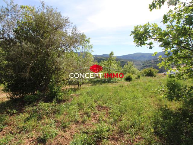 Terrain constructible Belgentier