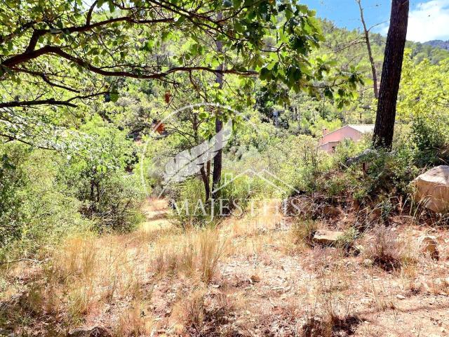 TERRAIN CONSTRUCTIBLE BELGENTIER CALME ET LUMINEUX