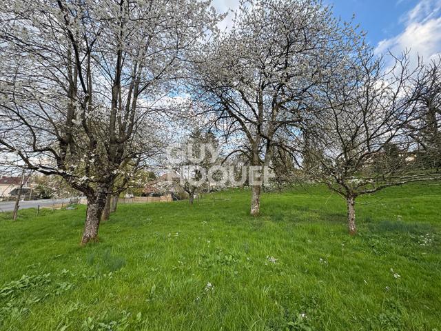 Terrain constructible Burgille