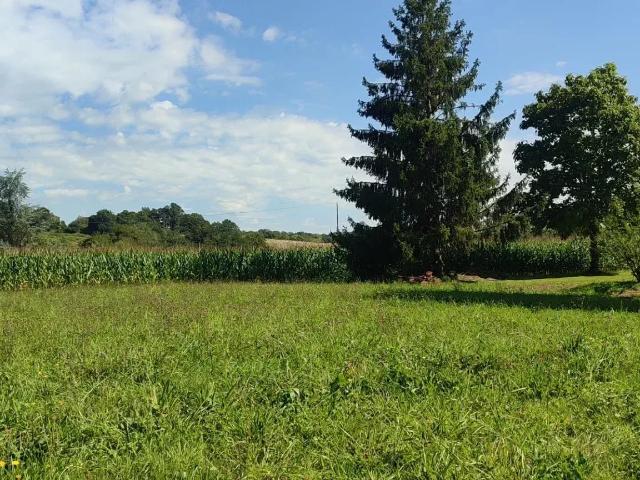 Terrain constructible dans joli village béarnais