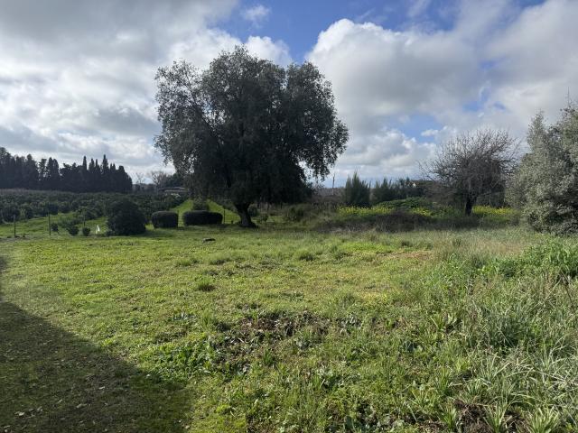 Terrain constructible de 1000 m2