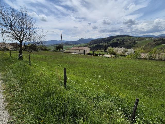 Terrain constructible de 1 006 m2