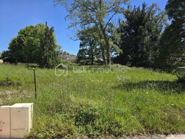 Terrain constructible de 1101m² viabilisé – Libre de constructeur