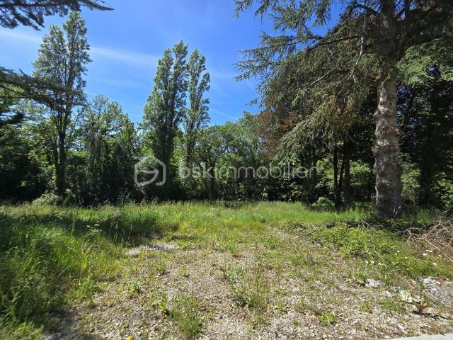 Terrain constructible de 1129 m² viabilisé – Libre de constructeur