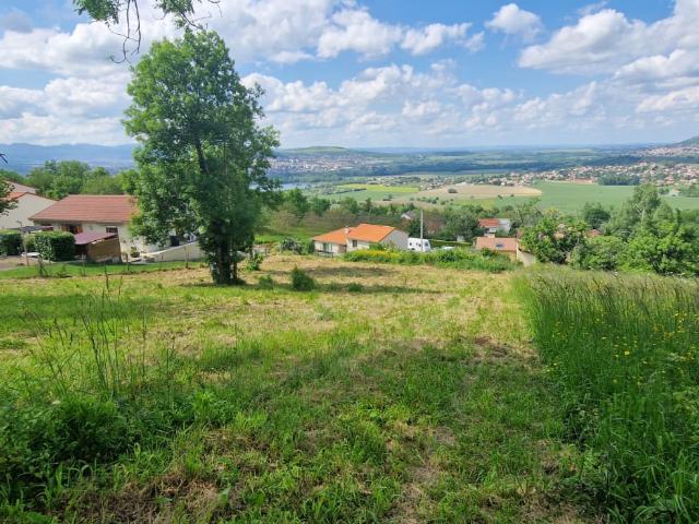Terrain Constructible de 1233 m2