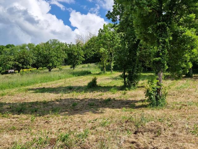 Terrain Constructible de 1305 m2