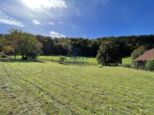 TERRAIN CONSTRUCTIBLE DE 1321m2 à SAULNOT