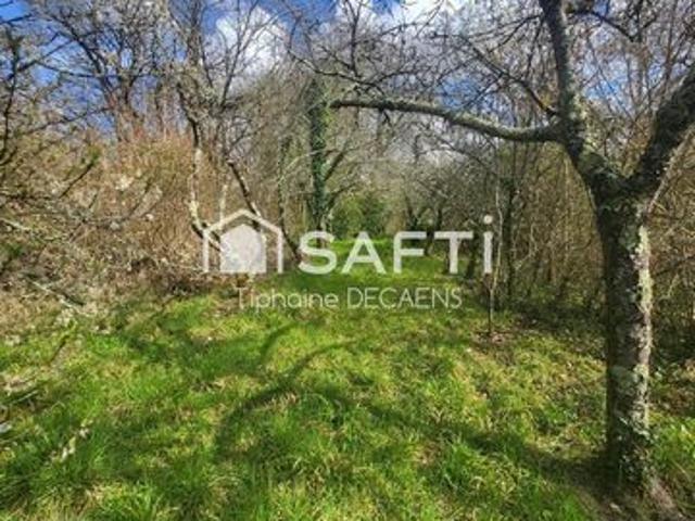 Terrain constructible de 1800m2 avec cave troglodyte