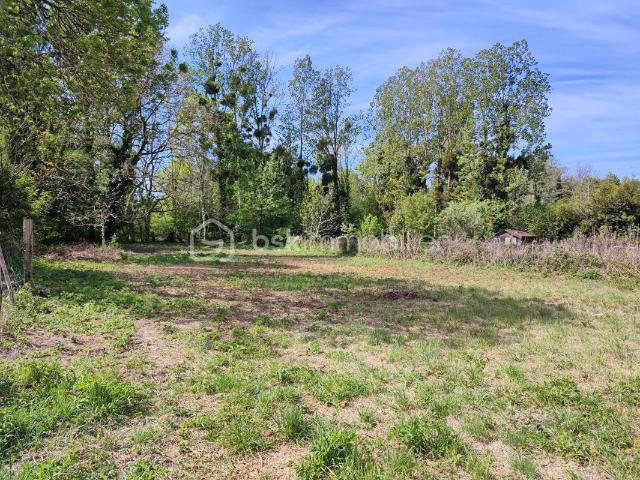 Terrain constructible de 1960 m²