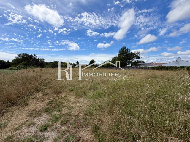 Terrain constructible de 1980 m2