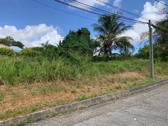 Terrain constructible de 1 000 m2 au quartier Sans Pareil