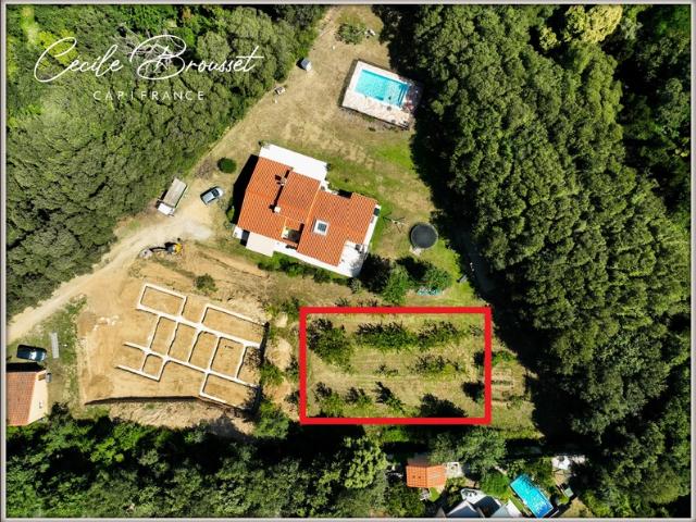 Terrain constructible de 1 027 m² – Quartier recherché de Céret