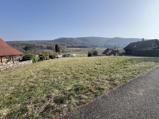 Terrain constructible de 1 292 m² ? Viabilisé Libre d'architecte