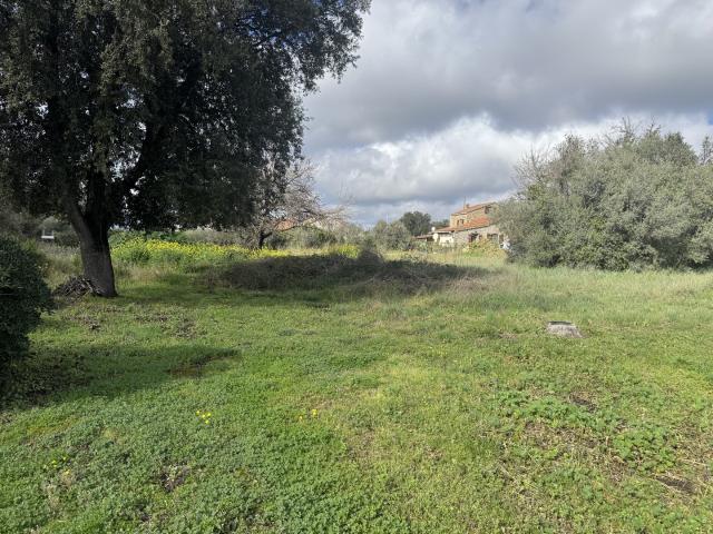 Terrain constructible de 2134 m2