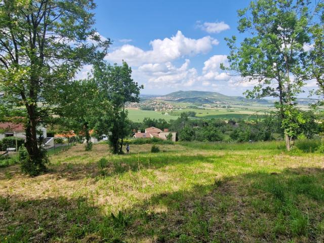 Terrain Constructible de 2 538 m2