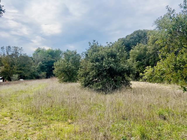 Terrain Constructible de 2 300 m² à Saint Maximin la Sainte Baume