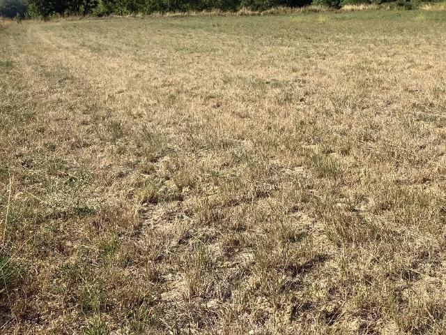 Terrain constructible de 3706 m² pour differents projets de cons