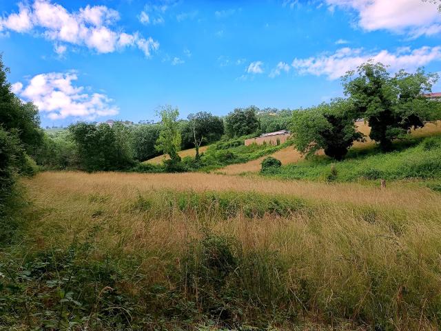 Terrain constructible de 4217 m2 à Mirandol Bourgnounac