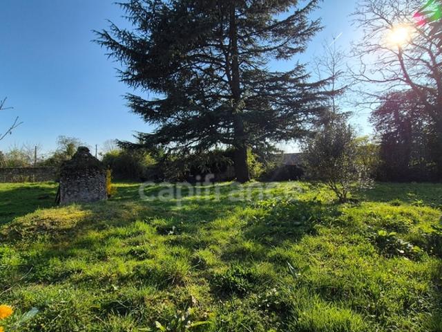 Terrain constructible de 430 m² à vendre SERMAISE 91530