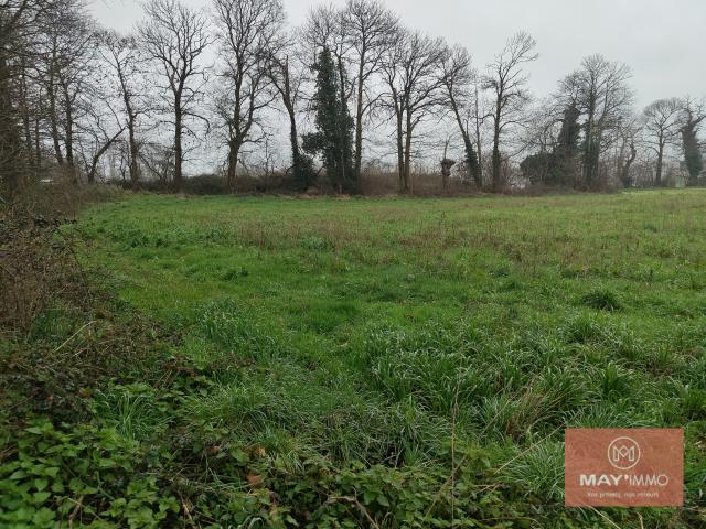 Terrain constructible de 5532 m2