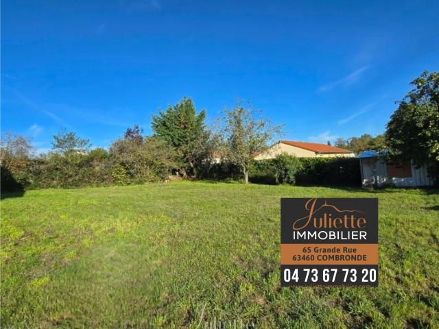TERRAIN CONSTRUCTIBLE DE 650m2