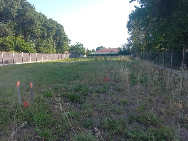 Terrain constructible de 724 m² à Chaumes en Retz, idéal pour votre projet Bâti85
