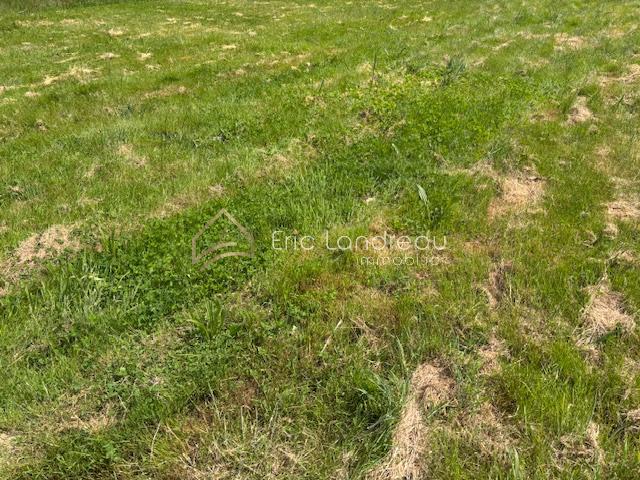 Terrain constructible de 770 m2