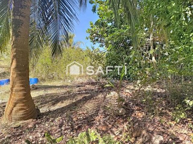 Terrain constructible de 800m2 au Moule