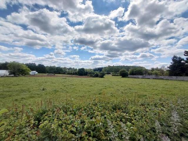 Terrain constructible divisible en 4 lots de 9252m²