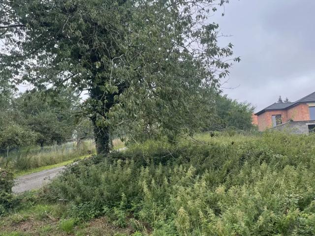Terrain constructible d'une surface de 1105 m² à CADENBRONN