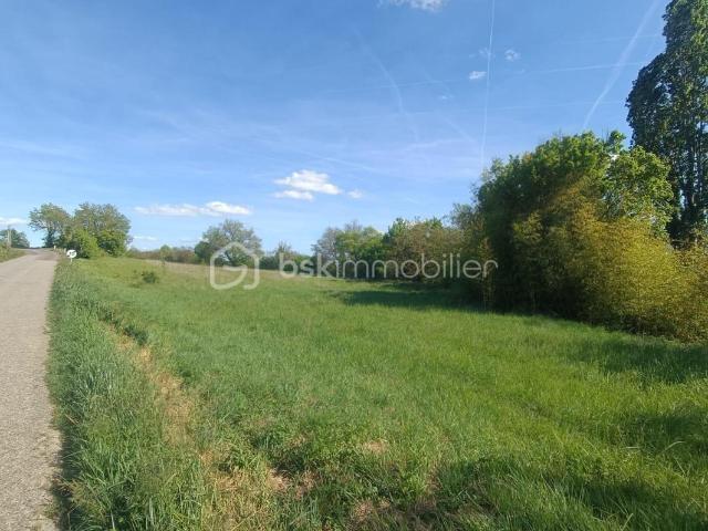 Terrain constructible entre Condom et La Romieu