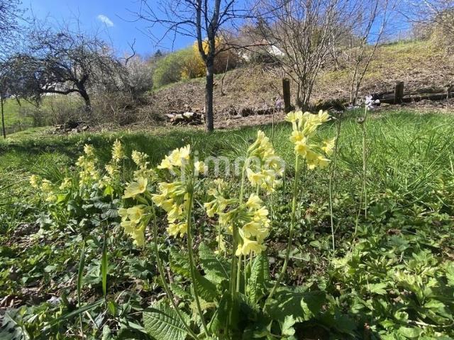 Terrain constructible en pleine nature