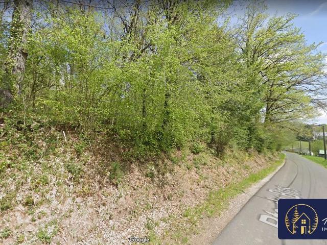 Terrain Constructible et Boisé à Neuvic