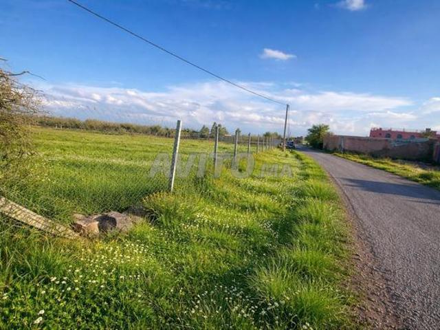 Terrain constructible et titré sur route goudronnée